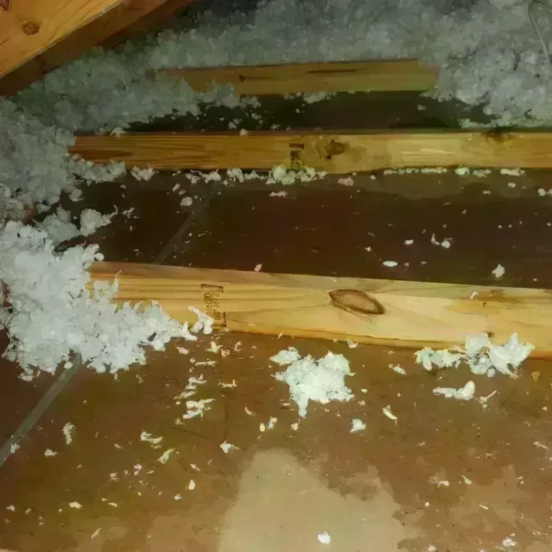 Attic Water Damage in Osceola, NE